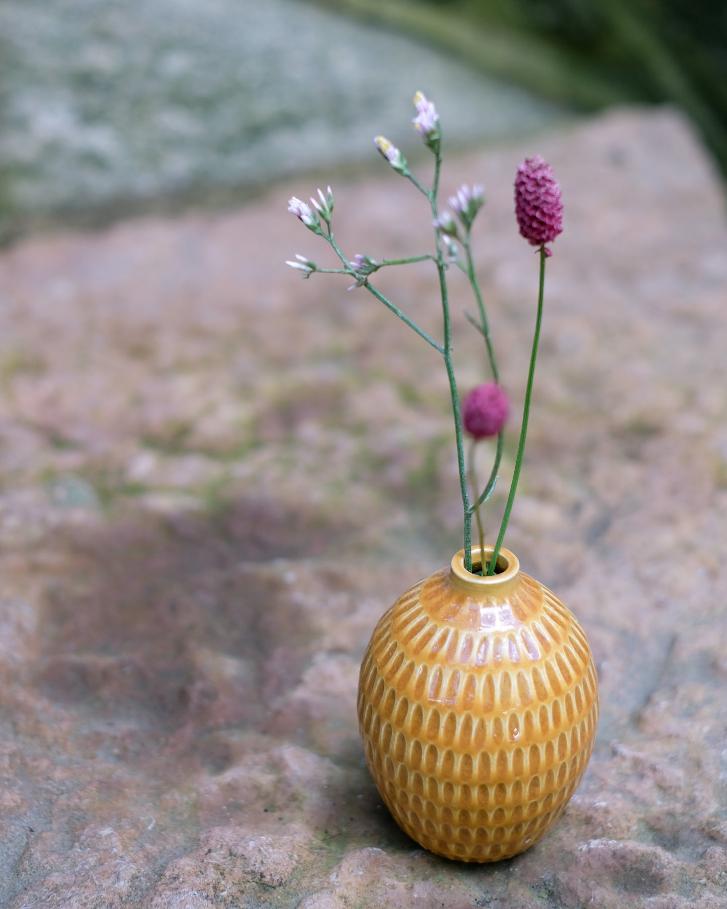 Karvad sticklingsvas senapsgul