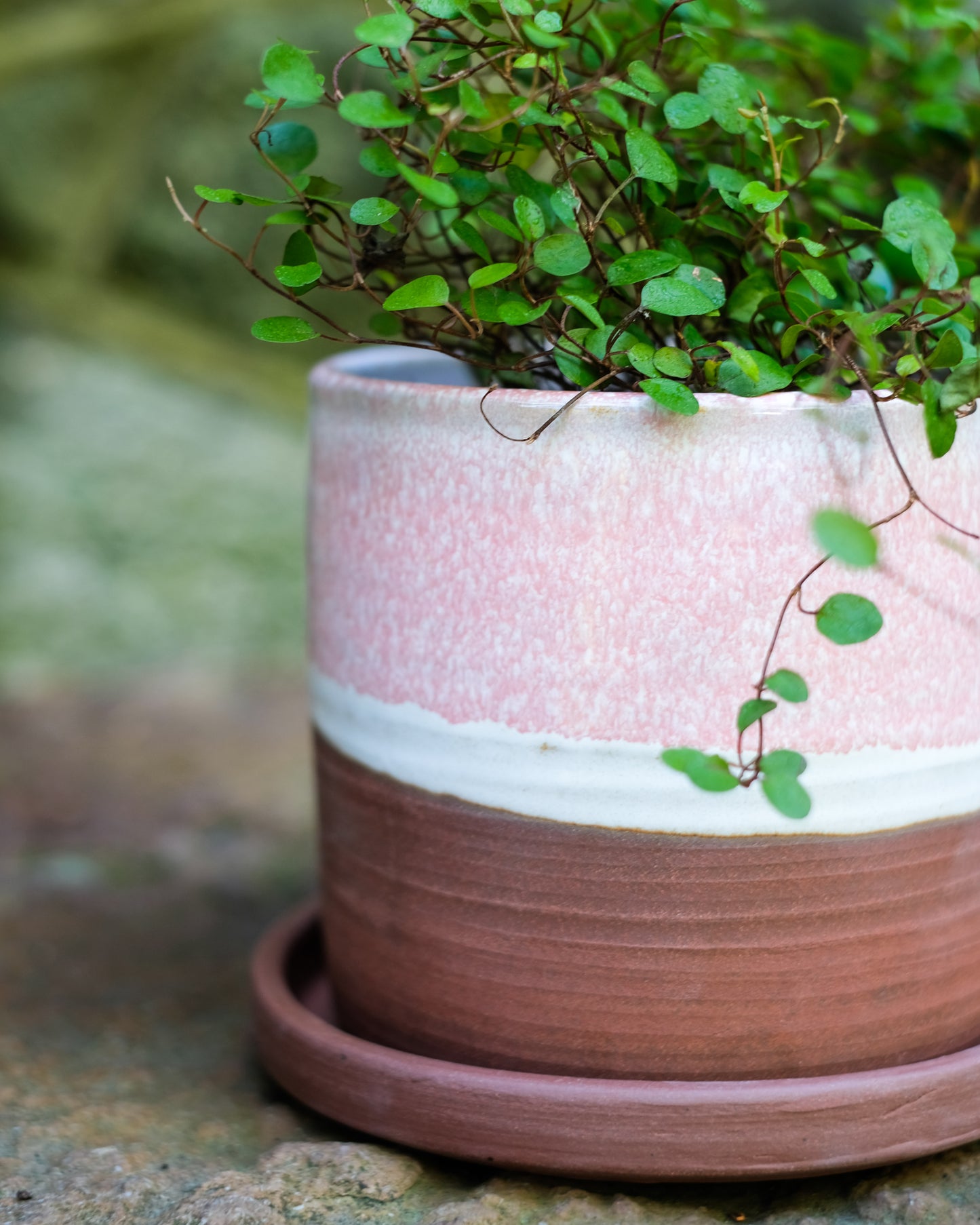 Drejad kruka med fat