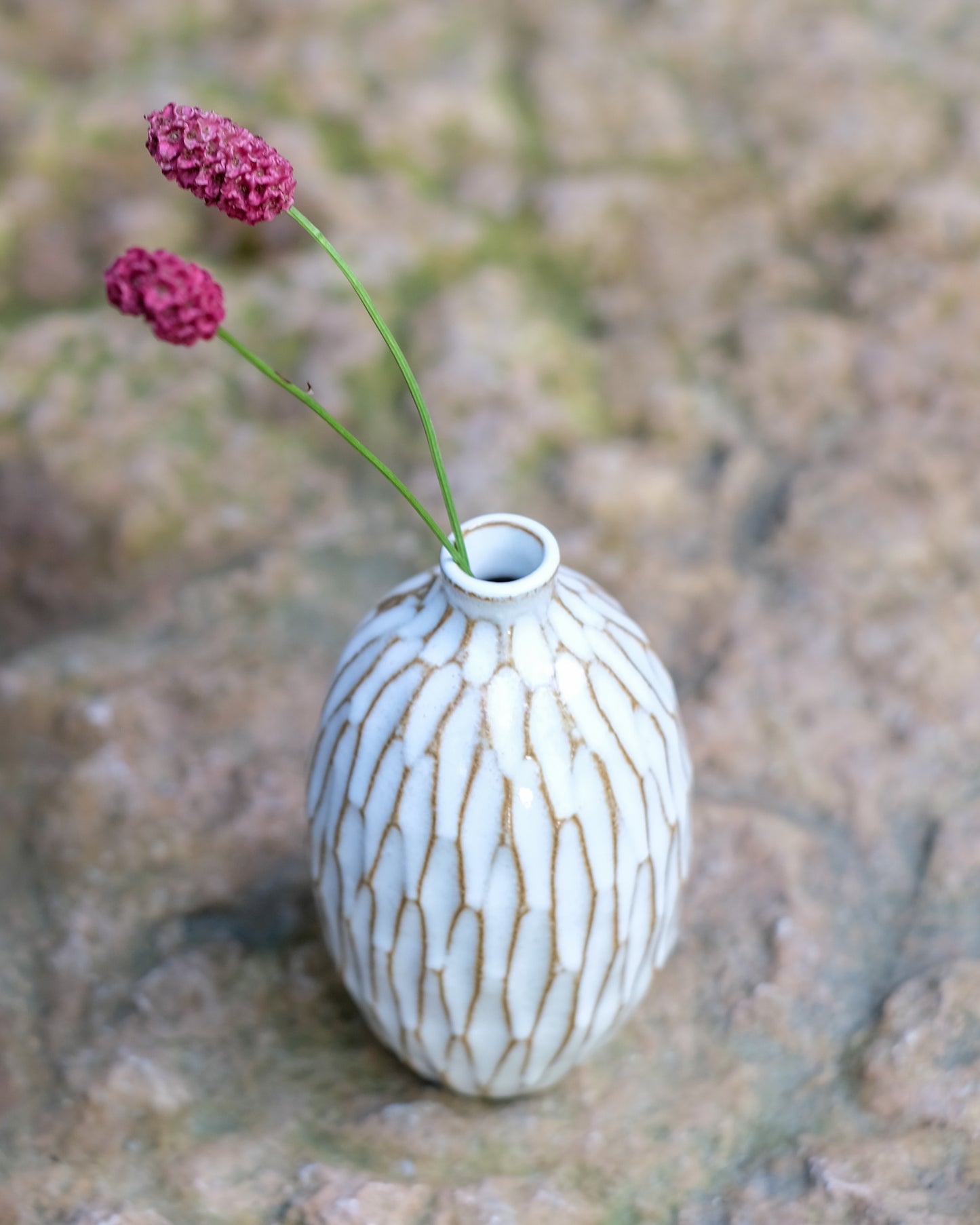 Karvad sticklingsvas vit