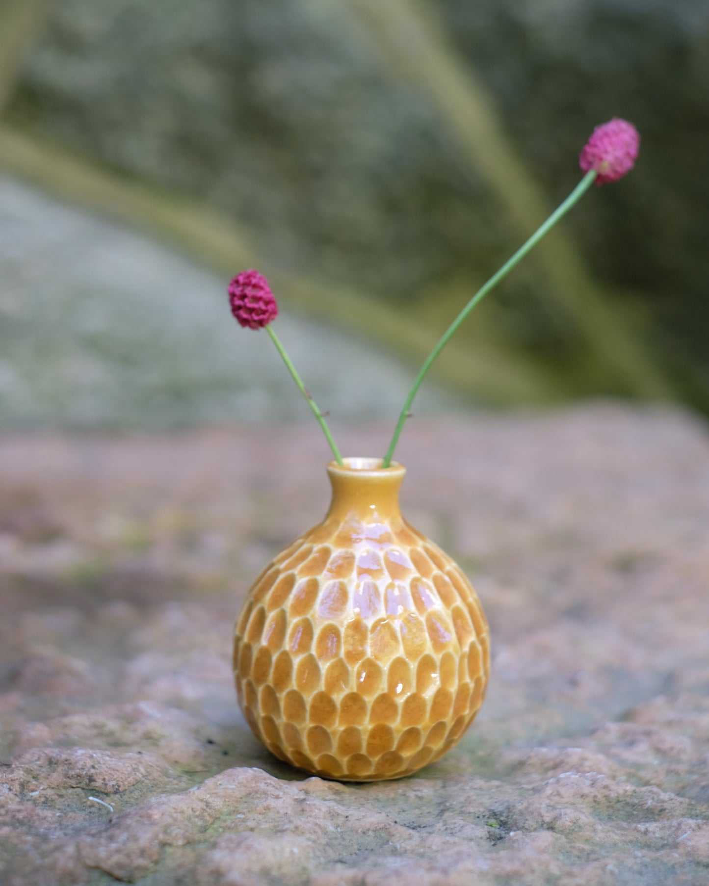 Karvad sticklingsvas senapsgul