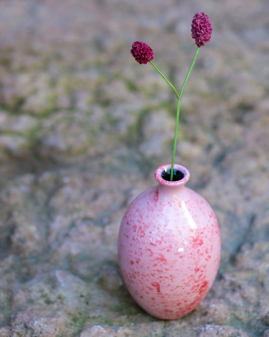 Slät sticklingsvas rosa