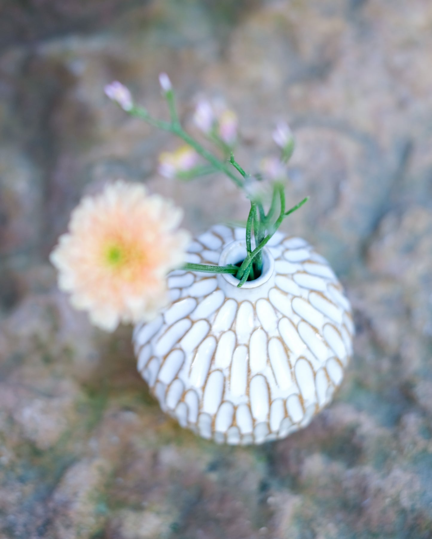 Karvad sticklingsvas vit