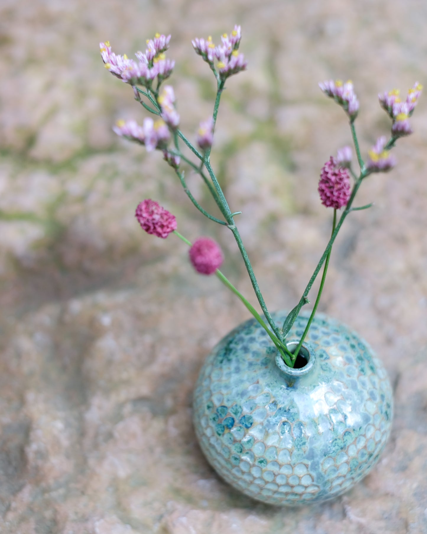 Karvad sticklingsvas grönmelerad