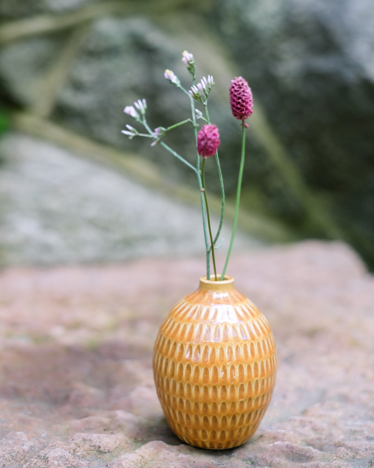 Karvad sticklingsvas senapsgul