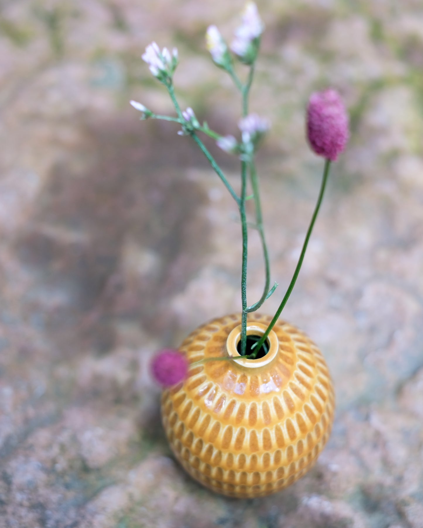 Karvad sticklingsvas senapsgul