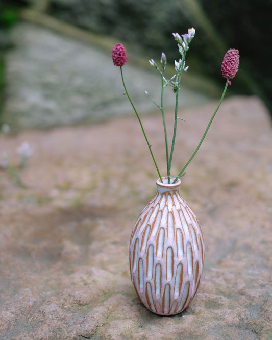 Karvad sticklingsvas rosavit