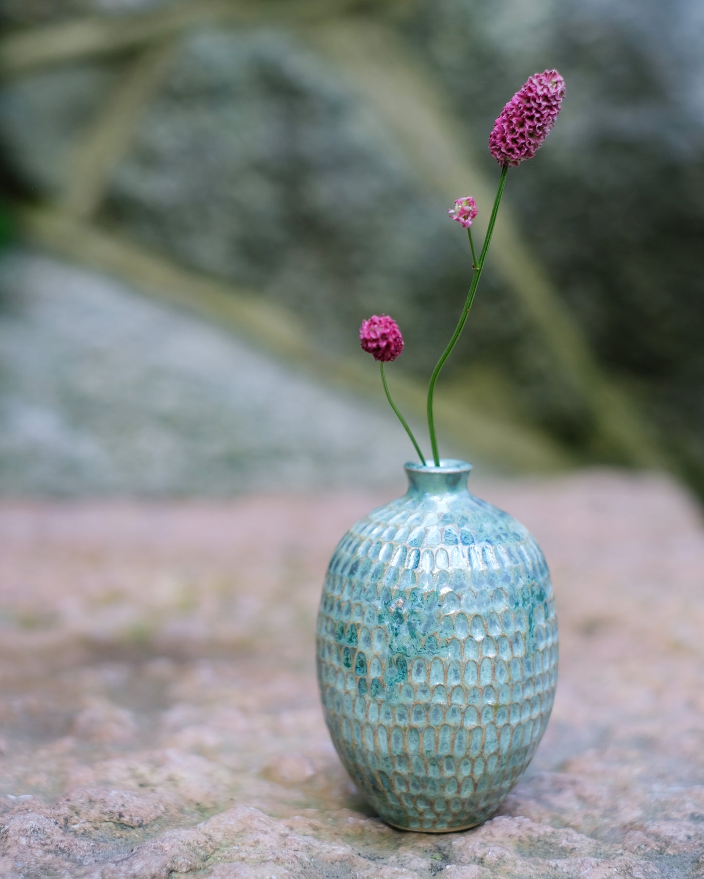 Karvad sticklingsvas grönmelerad