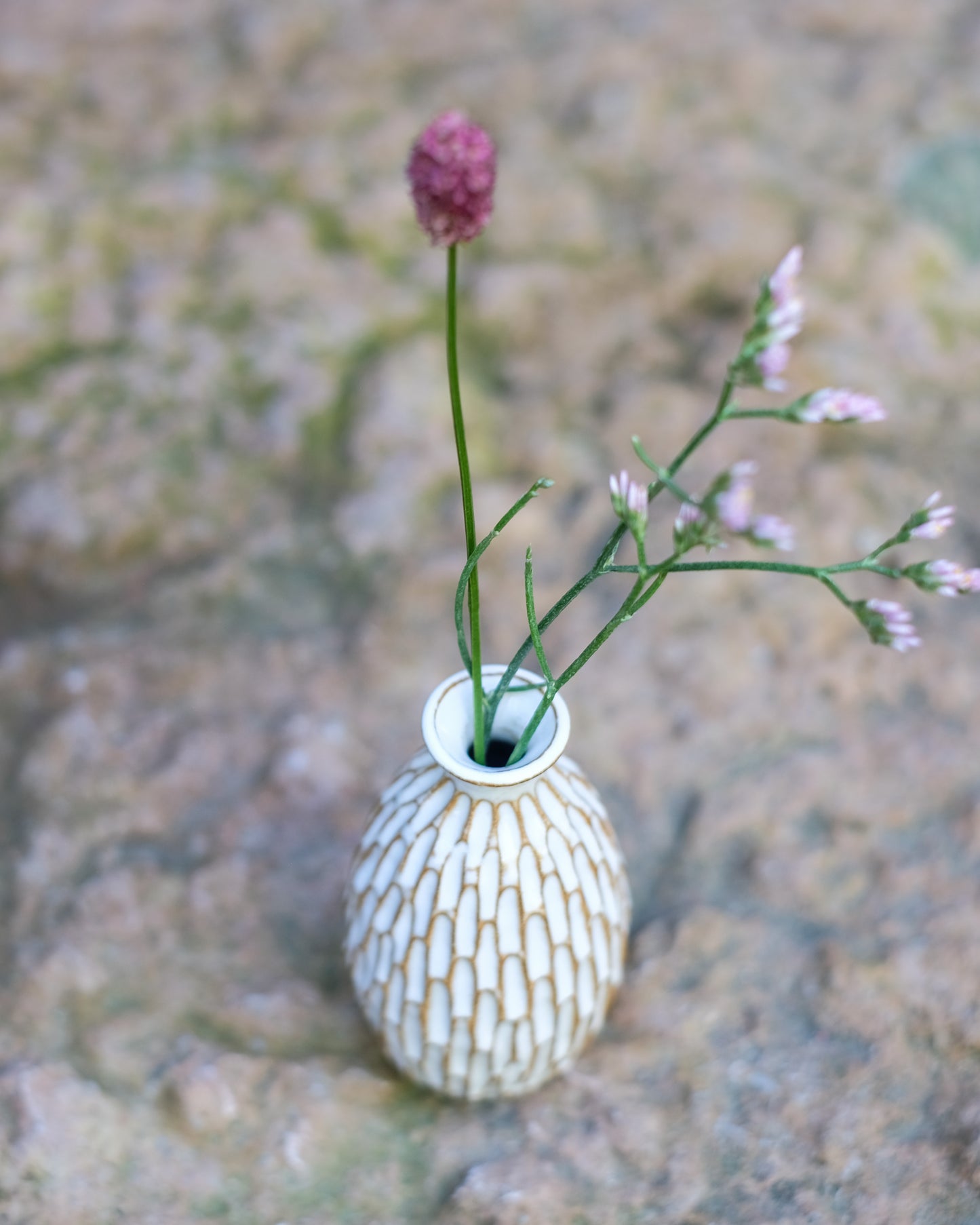 Karvad sticklingsvas vit