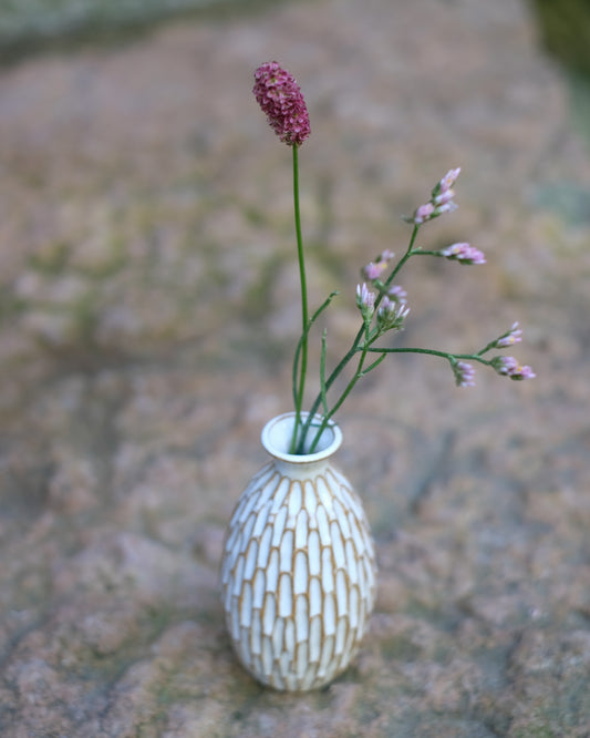 Karvad sticklingsvas vit