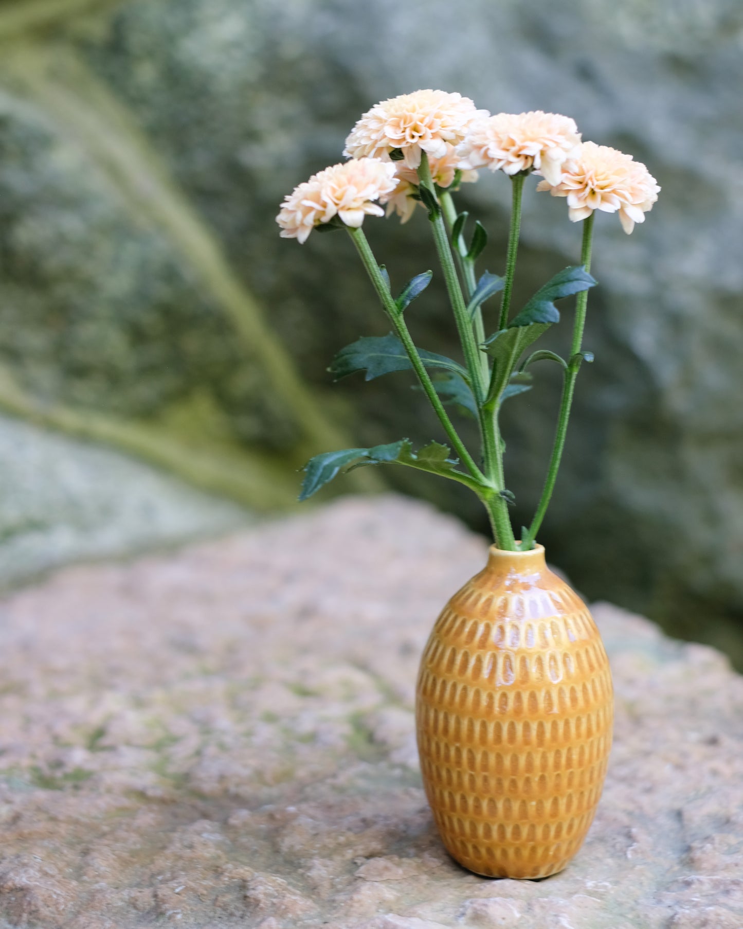 Karvad sticklingsvas senapsgul