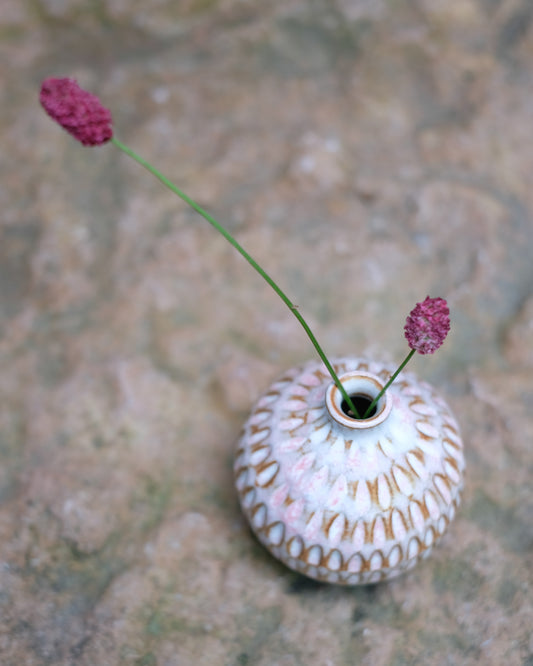 Karvad sticklingsvas rosavit