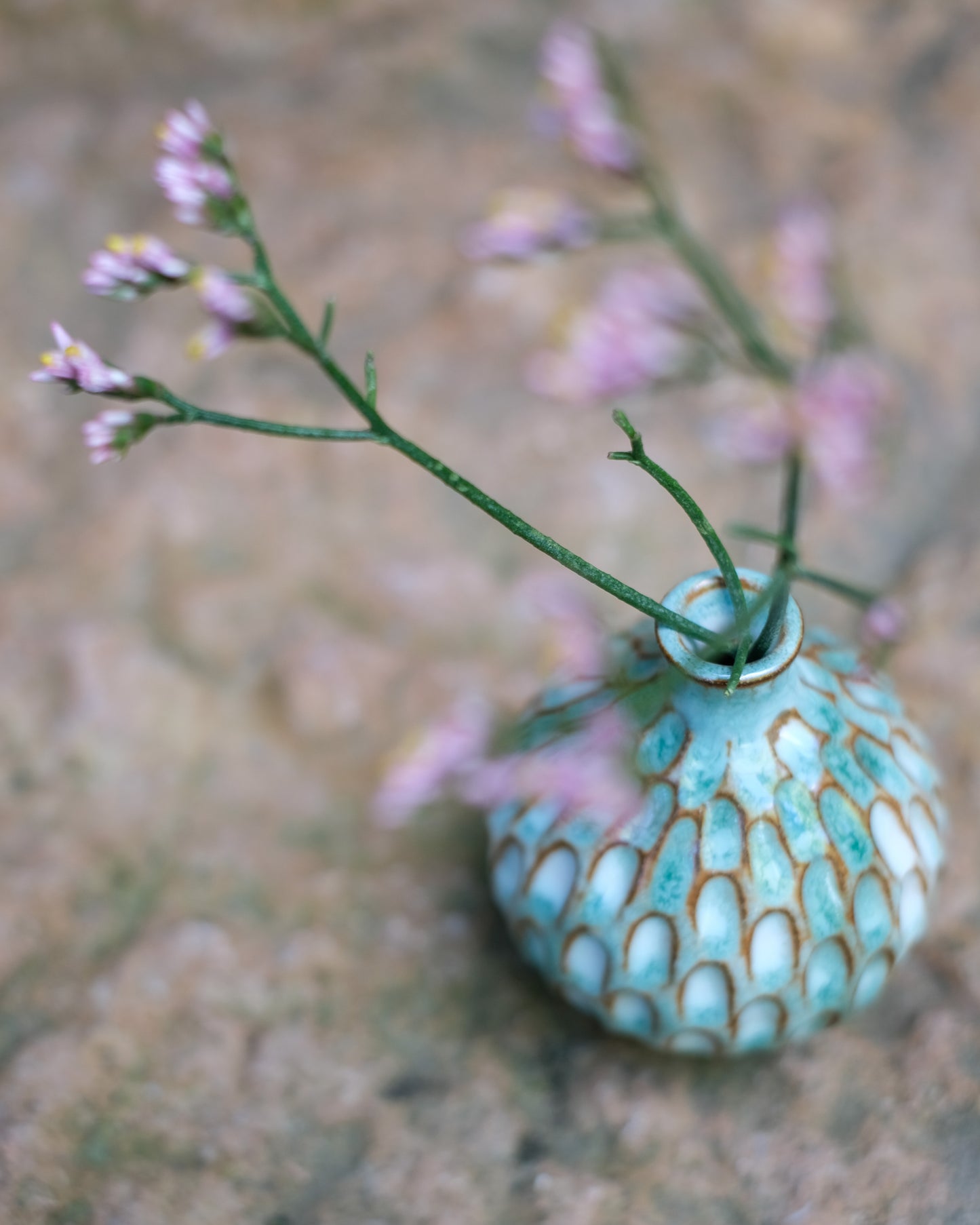 Karvad sticklingsvas grönmelerad