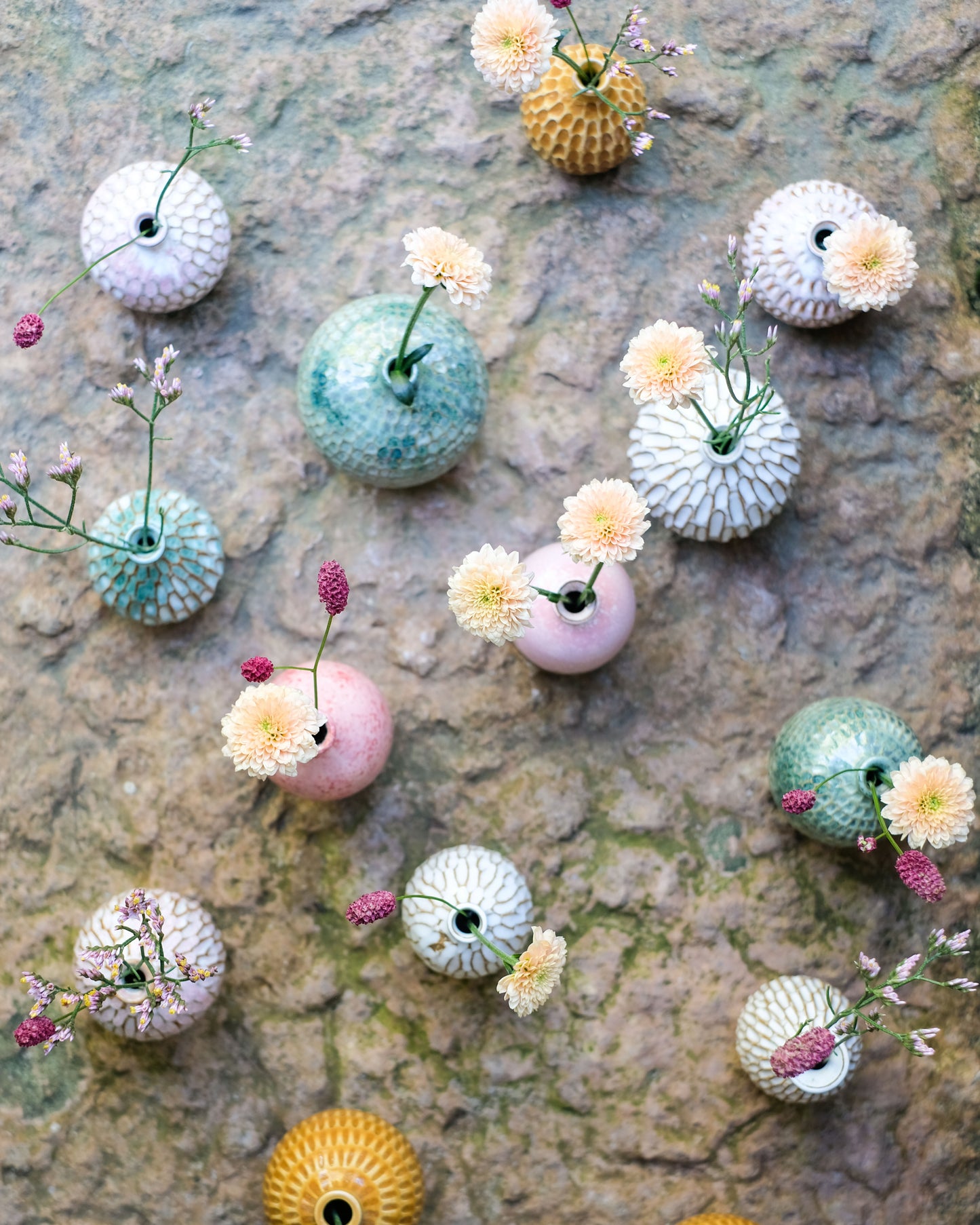 Karvad sticklingsvas vit