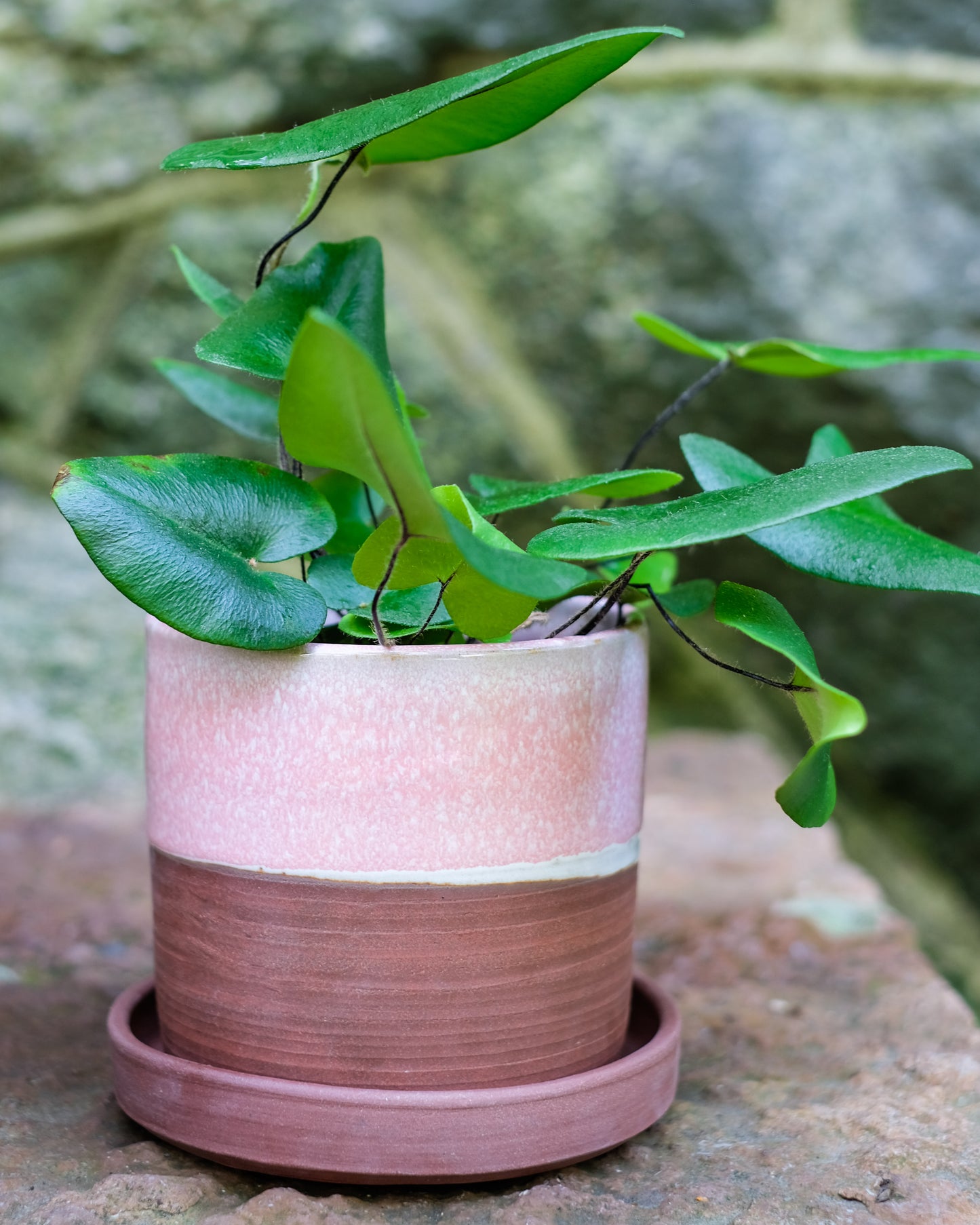 Drejad kruka med fat