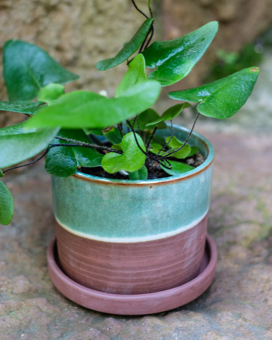 Drejad kruka med fat