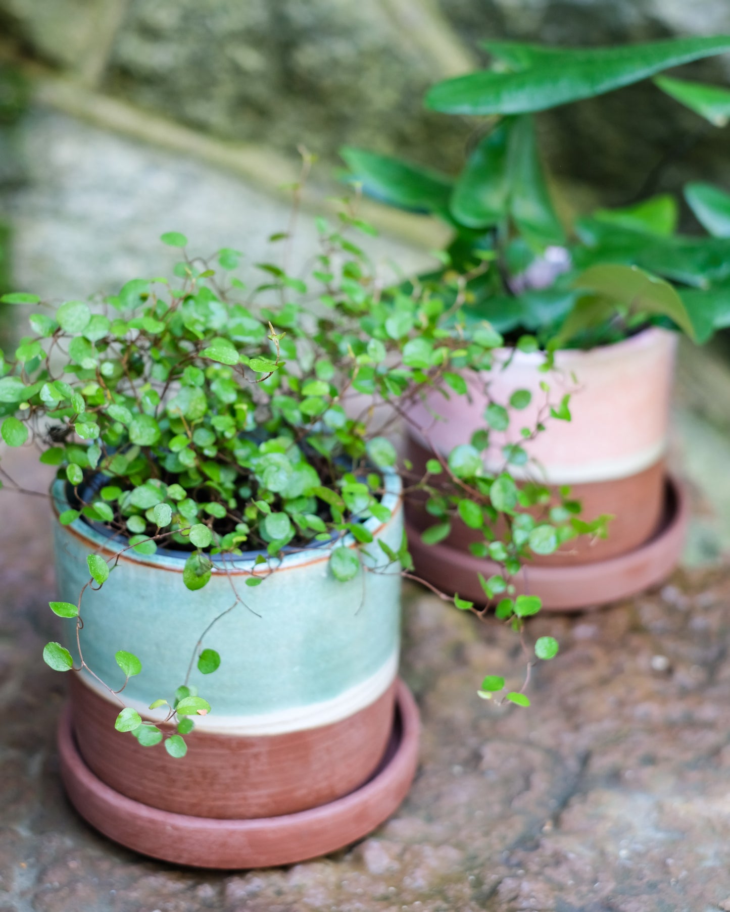 Drejad kruka med fat