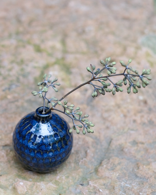 Karvad sticklingsvas blåmelerad