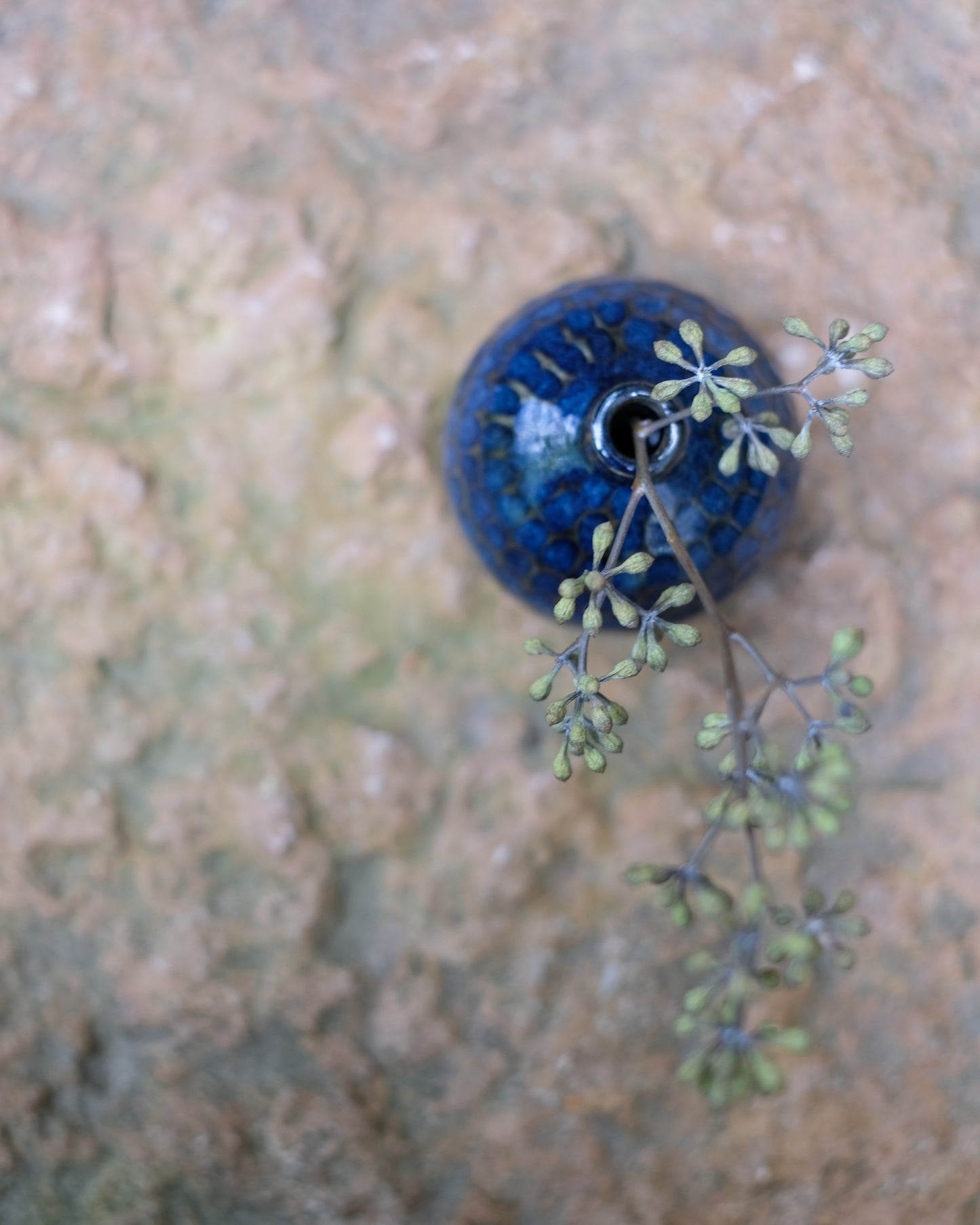 Karvad sticklingsvas blåmelerad