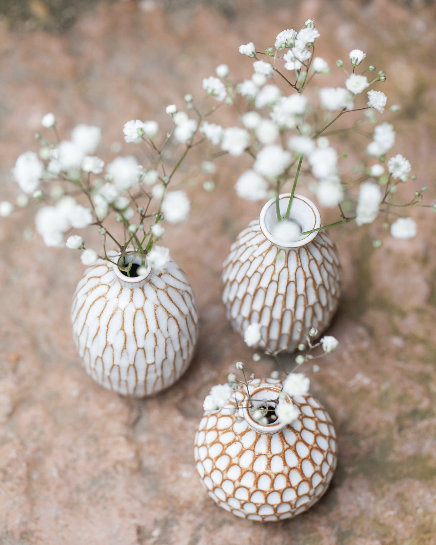 Karvad sticklingsvas vit